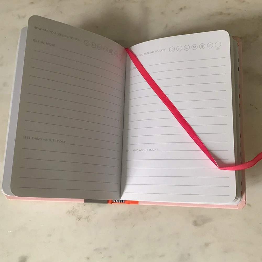 Hallmark Pink “All the Feels” Journal